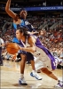 steve nash picture2