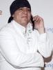 steve van zandt photo