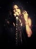 steven tyler image