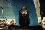 stevie nicks image