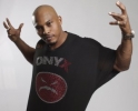sticky fingaz image2