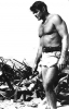 stuart whitman pic