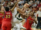 sue bird image4