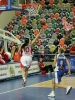 sue bird picture