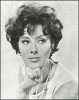 sue lloyd image