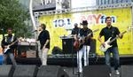 sugar ray