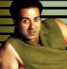 sunny deol image
