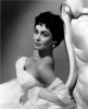 susan cabot photo