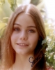 susan dey pic1