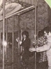 syd barrett picture1