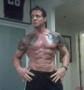 sylvester stallone img