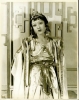 sylvia field image1