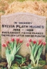 sylvia plath picture