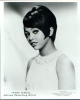 tammi terrell pic