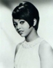 tammi terrell picture
