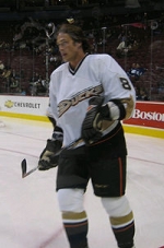 teemu selanne