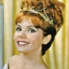 teresa brewer picture3