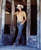 terri clark image2
