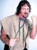 terry funk pic