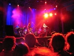 the cardigans
