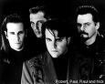 the mavericks