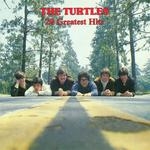 the turtles