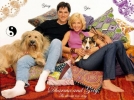 thomas gibson image