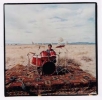 tico torres image