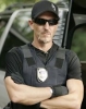 tim chapman image