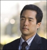 tim kang picture tim kang picture