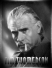 tim thomerson picture1 tim thomerson picture1