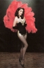 tina fey picture