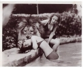 tippi hedren pic