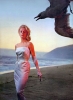 tippi hedren picture