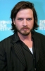 tom budge image