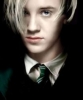 tom felton img