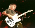 tom hamilton img