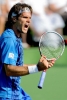 tommy haas image1