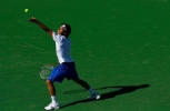 tommy haas photo1