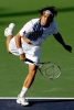 tommy haas picture1