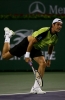 tommy haas picture3