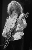 tommy shaw image1