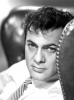 tony curtis picture