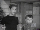 tony dow photo