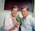 tony randall image4