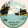 tony scott pic1