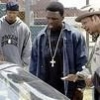 tory kittles picture