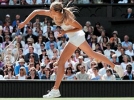 tracy austin image1
