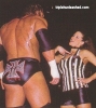 triple h pic1