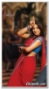 trisha krishnan picture4